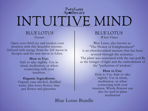 Holiday Blue Lotus Bundle - Intuitive Mind