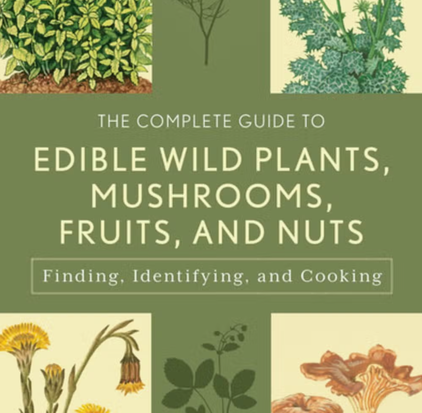 Edible Wild Plants and Mushrooms - Recipes and Guides