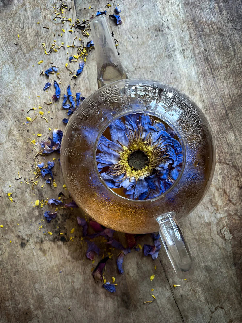 The Blue Lotus ⋆ Beautiful Whole Flowers - Thai Grown ⋆ Zenpire
