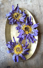 Cargar imagen en el visor de la galería, Blue Lotus Flower Whole(3 pack)
