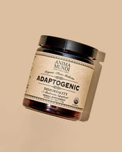 Cargar imagen en el visor de la galería, ADAPTOGENIC Powder | 7 Medicinal Mushrooms + Cacao
